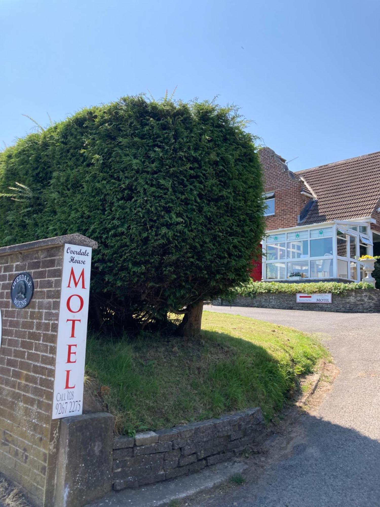 Overdale Motel Lisburn Exterior foto